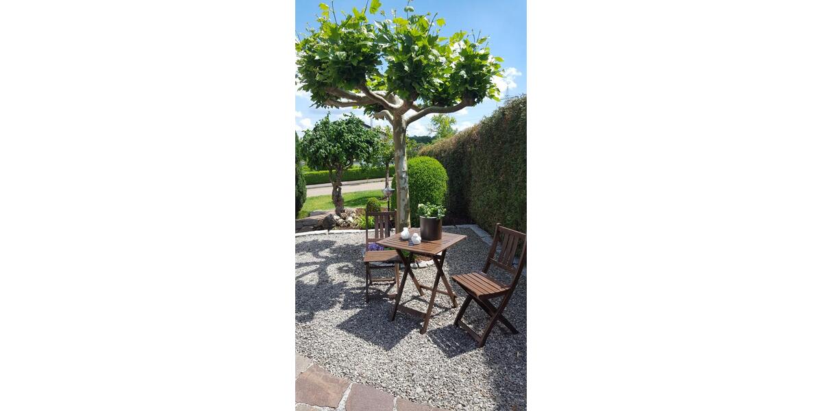 Einfamilienhaus Rosenberg - 5 Zimmer, 190 m&sup2;, 2.100&euro; | Angebot:25643745