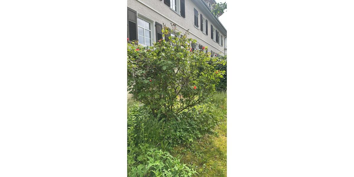 Erdgeschoßwohnung Heidenheim an der Brenz - 4 Zimmer, 105 m&sup2;, 1.290&euro; | Angebot:25636797