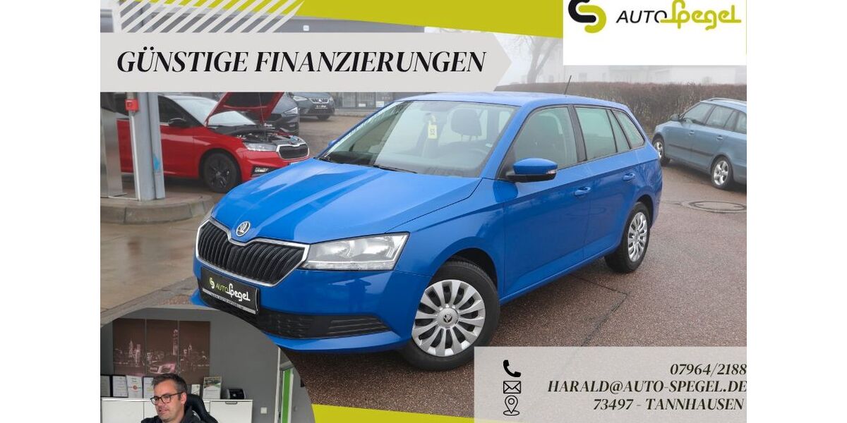 Skoda Fabia 47.368 km 13.490 &euro; Tannhausen 73497