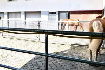 Haus Adelmannsfelden - 1 Zimmer, 375 m&sup2;, 1.399.000&euro; | Angebot:25746495