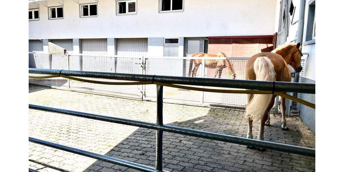 Mehrfamilienhaus, Wohnhaus Adelmannsfelden - 1 Zimmer, 375 m&sup2;, 1.399.000&euro; | Angebot:25746495