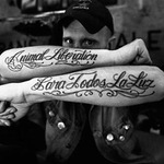 Los Fastidios + Herbärds