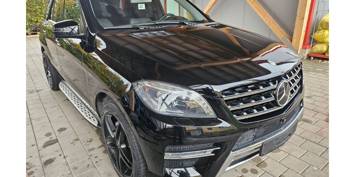 Mercedes-Benz ML 350 212.905 km 19.500 &euro; Syrgenstein 89428